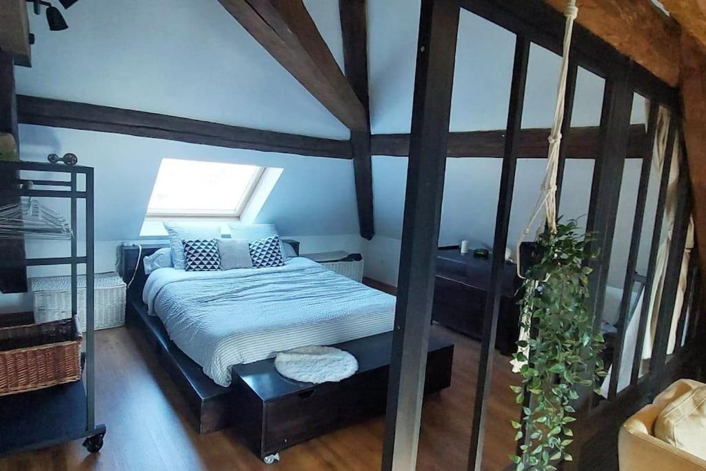 דירות אלברד *New*Les Amandines Le Loft* Wifi מראה חיצוני תמונה